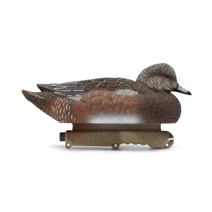 LIVE Floating Wigeons - 6 Pack