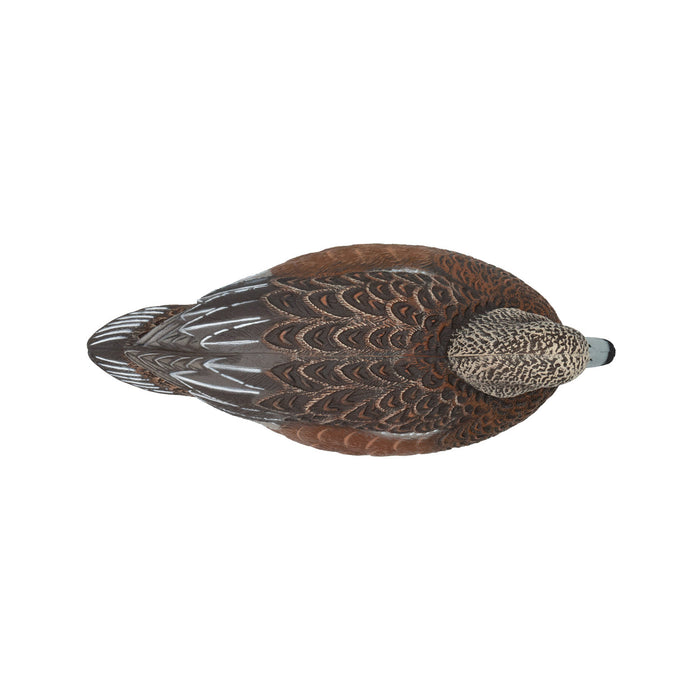 LIVE Floating Wigeons - 6 Pack