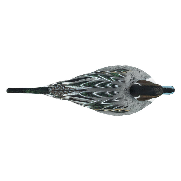 LIVE Pintail Floaters - 6 Pack