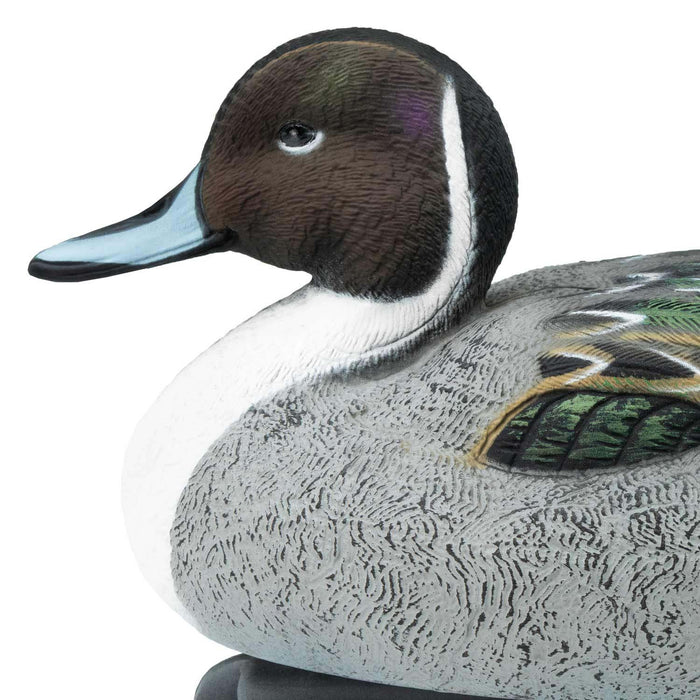 LIVE Pintail Floaters - 6 Pack
