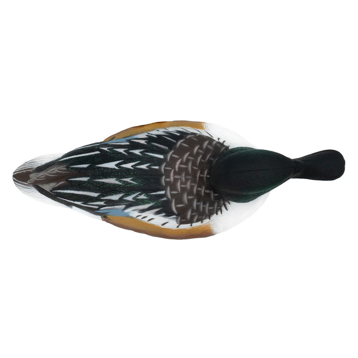 LIVE Floating Shovelers - 6 Pack