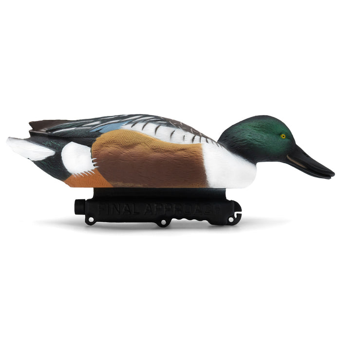 LIVE Floating Shovelers - 6 Pack