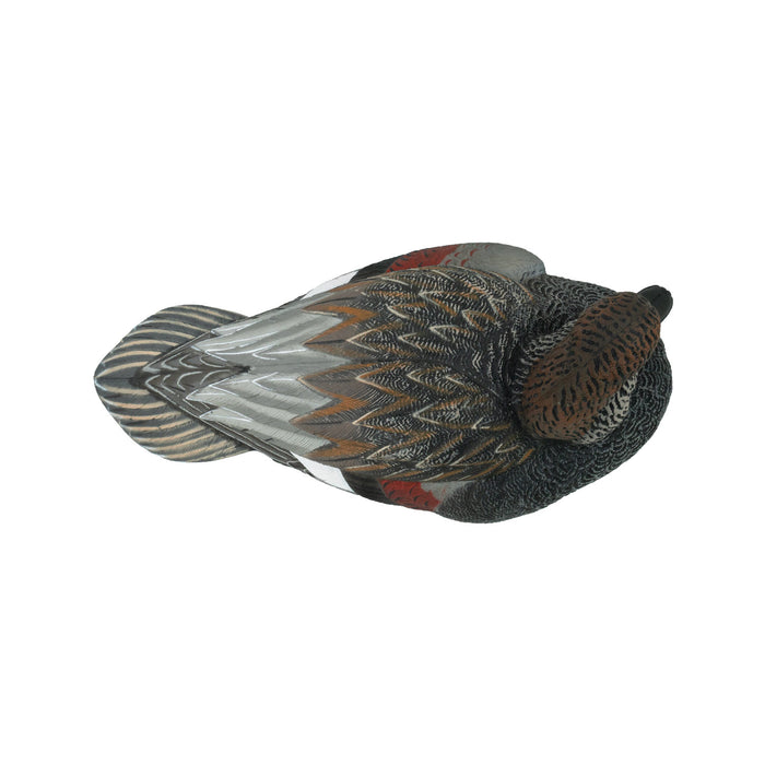 LIVE Gadwall Floaters - 6 Pack