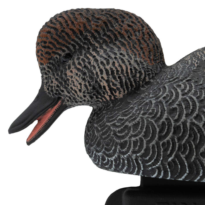 LIVE Gadwall Floaters - 6 Pack