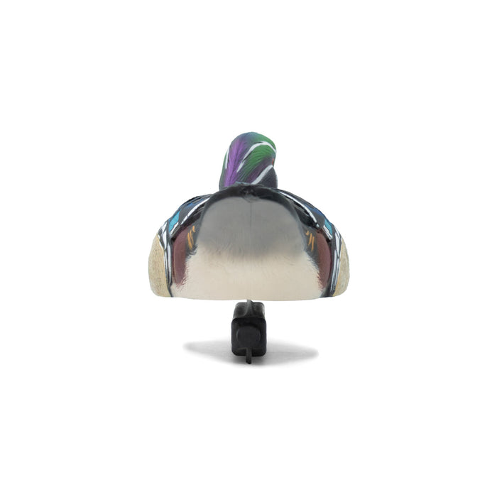 LIVE Wood Ducks - 6 Pack