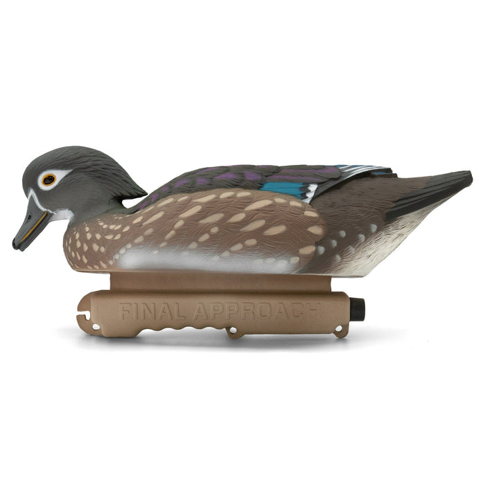 LIVE Wood Ducks - 6 Pack
