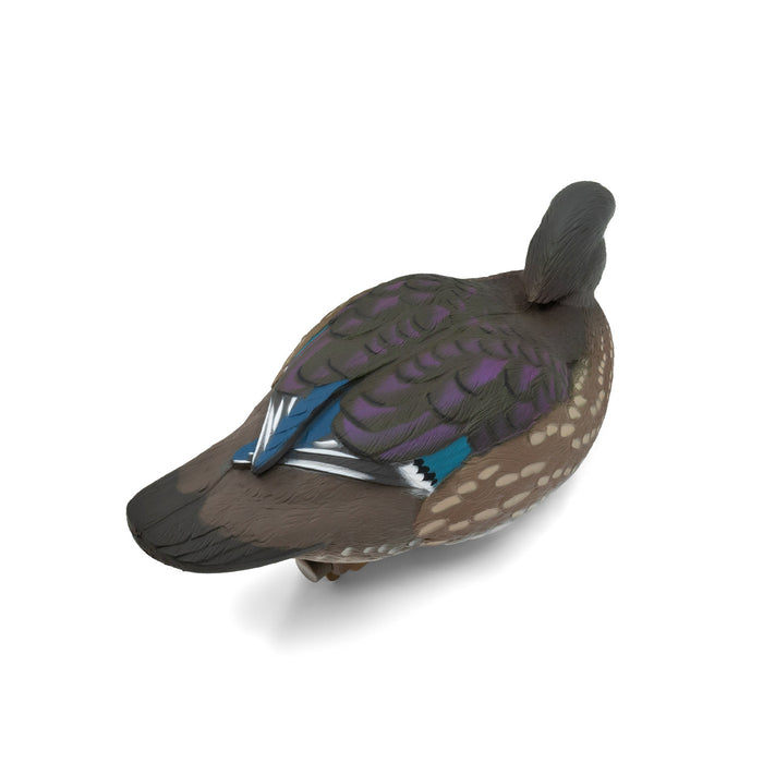 LIVE Wood Ducks - 6 Pack