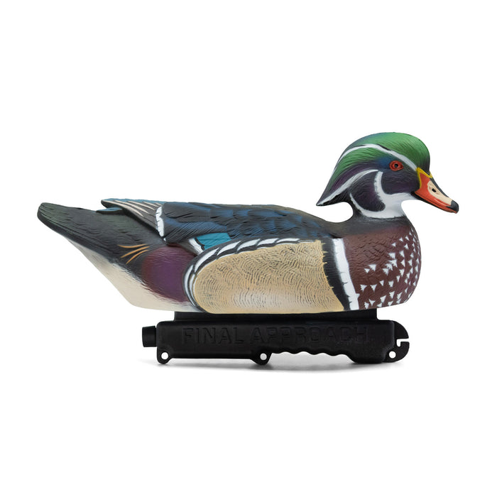 LIVE Wood Ducks - 6 Pack