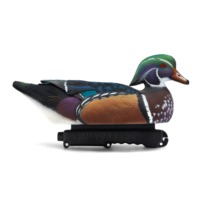 LIVE Wood Ducks - 6 Pack