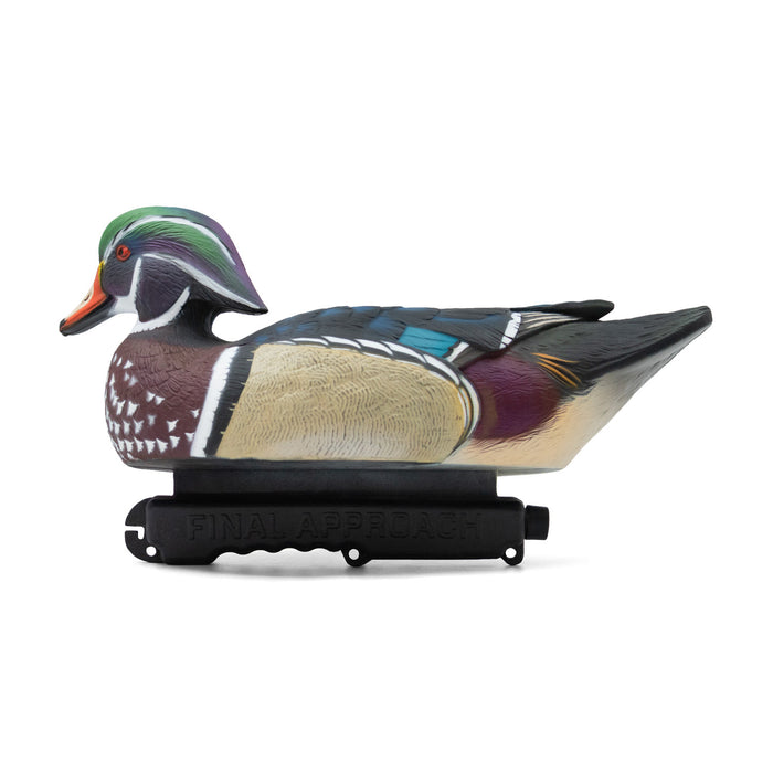 LIVE Wood Ducks - 6 Pack