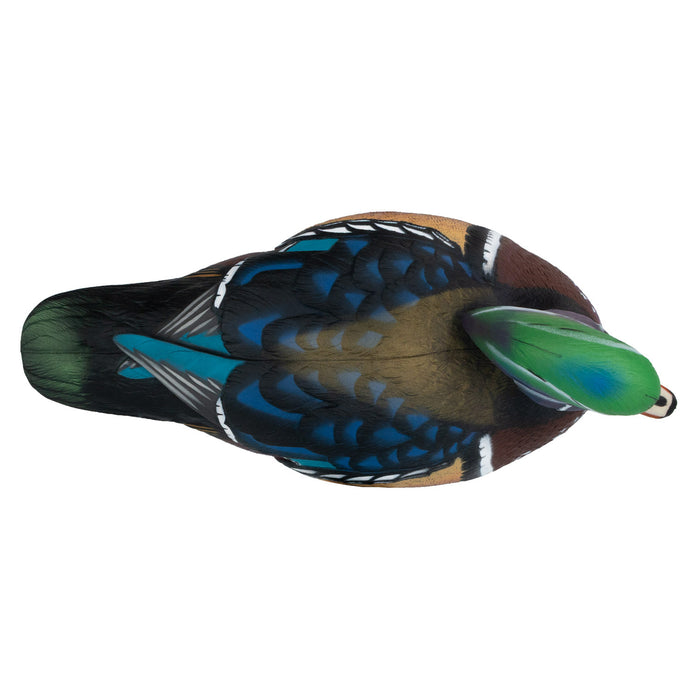 LIVE Wood Ducks - 6 Pack