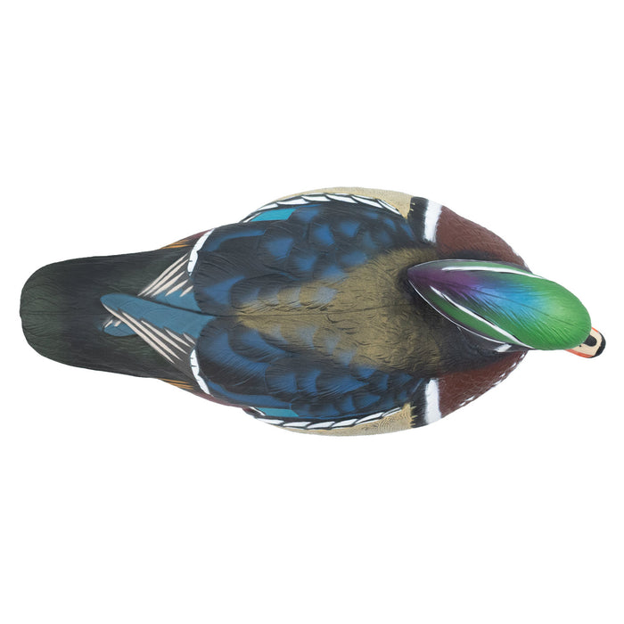 LIVE Wood Ducks - 6 Pack