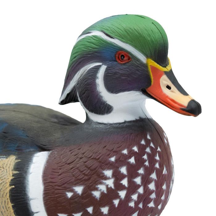 LIVE Wood Ducks - 6 Pack