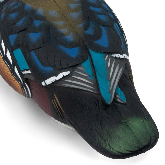 LIVE Wood Ducks - 6 Pack