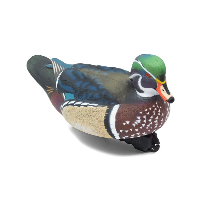 LIVE Wood Ducks - 6 Pack
