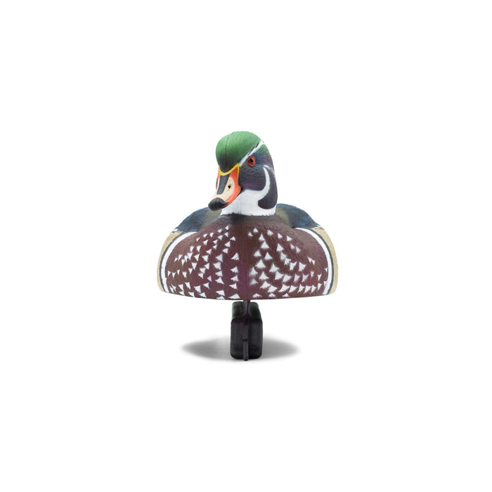 LIVE Wood Ducks - 6 Pack
