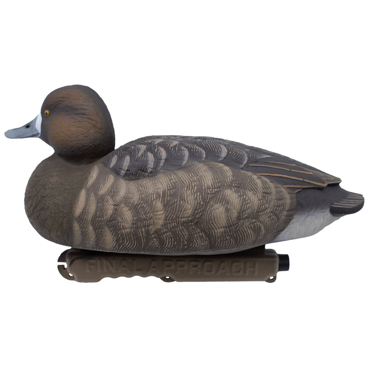 Live Floating Bluebill Duck Decoys, 6 Pack Final Approach Waterfowl
