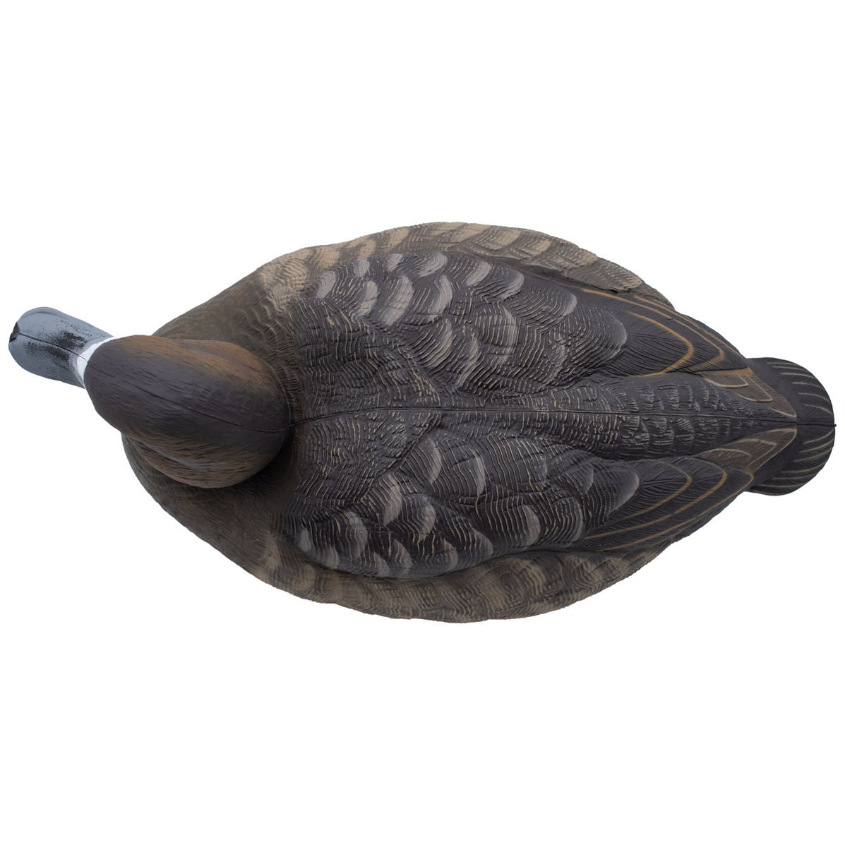 Live Floating Bluebill Duck Decoys, 6 Pack Final Approach Waterfowl