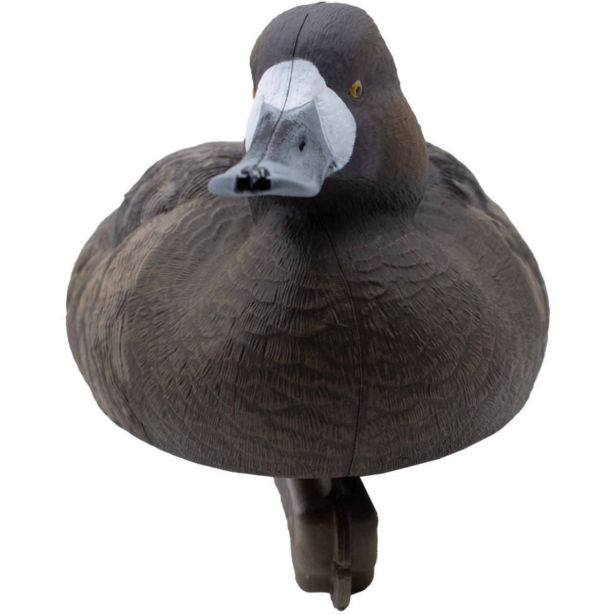 Live Floating Bluebill Duck Decoys, 6 Pack Final Approach Waterfowl