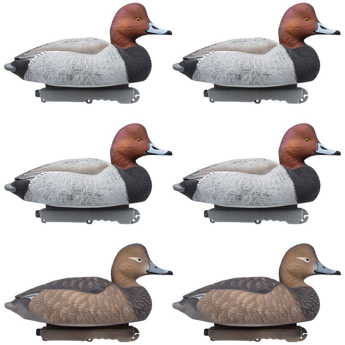 Live Floating Redhead Duck Decoys, 6 Pack Final Approach Waterfowl