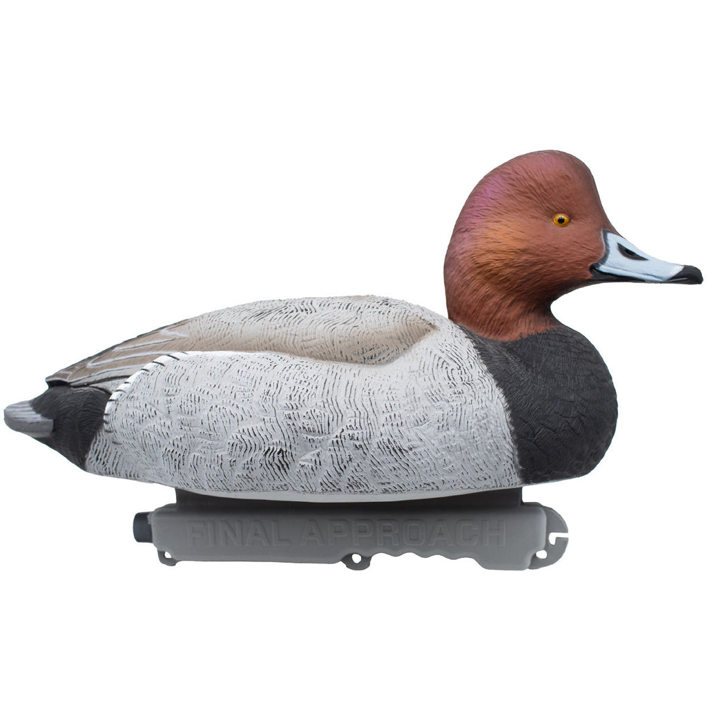 Live Floating Redhead Duck Decoys, 6 Pack | Final Approach Waterfowl