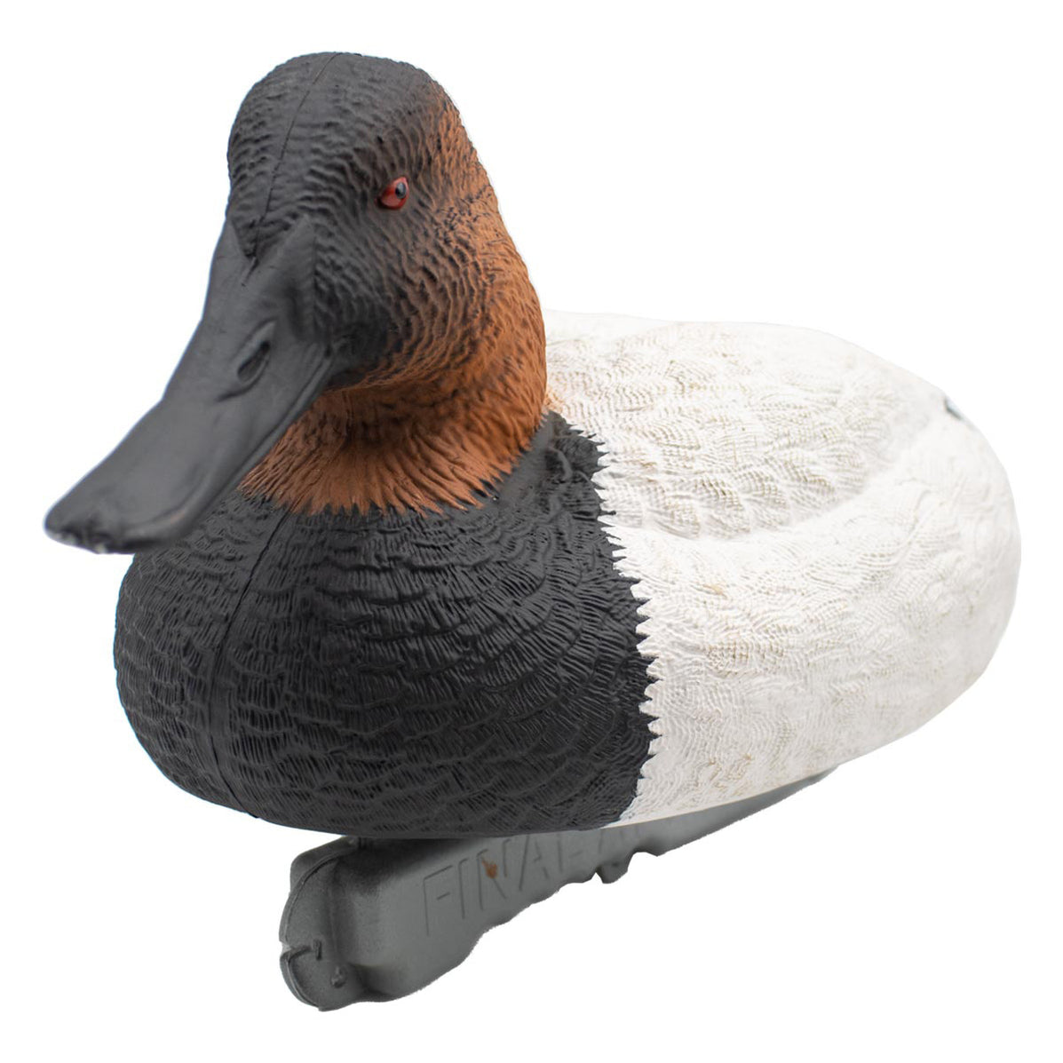 Live Floating Canvasback Duck Decoys, 6 Pack Final Approach Waterfowl