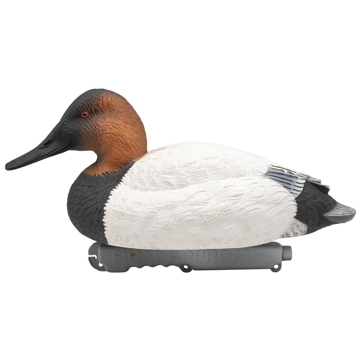 Live Floating Canvasback Duck Decoys, 6 Pack | Final Approach Waterfowl