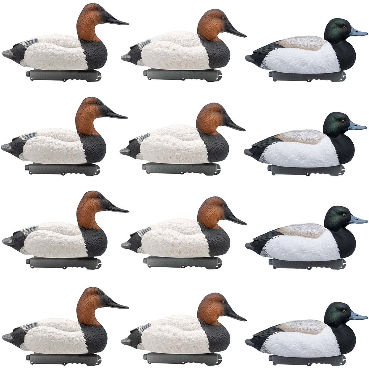 LIVE Foam Filled Drake Diver Duck Decoys, 12 Pack | Final Approach
