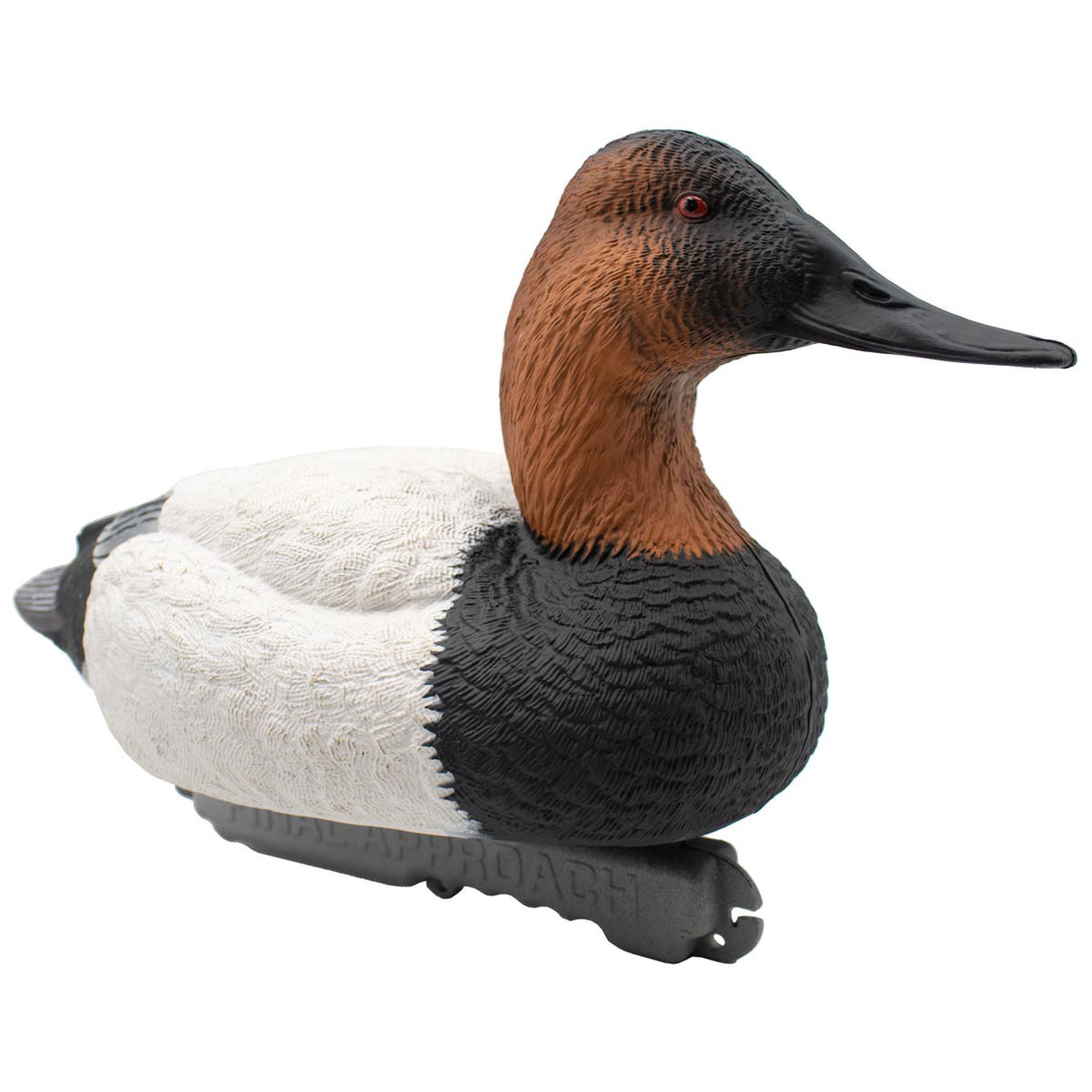 LIVE Foam Filled Drake Diver Duck Decoys, 12 Pack | Final Approach