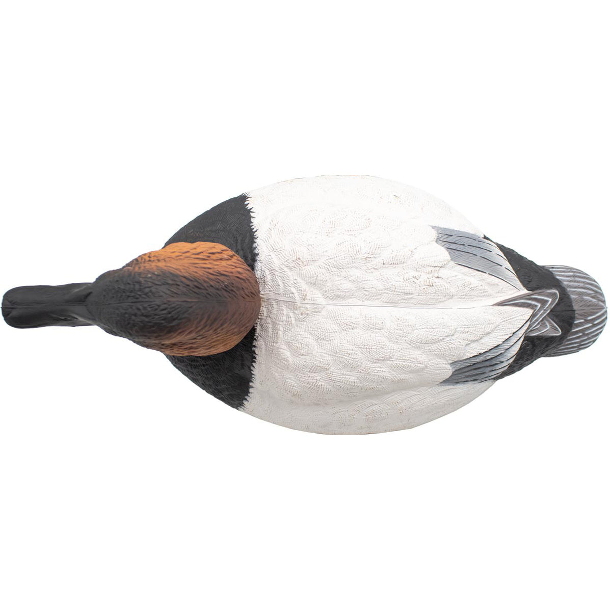 LIVE Foam Filled Drake Diver Duck Decoys, 12 Pack | Final Approach