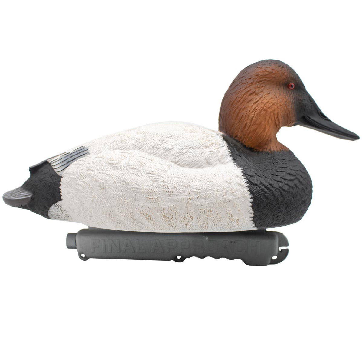 LIVE Foam Filled Drake Diver Duck Decoys, 12 Pack Final Approach