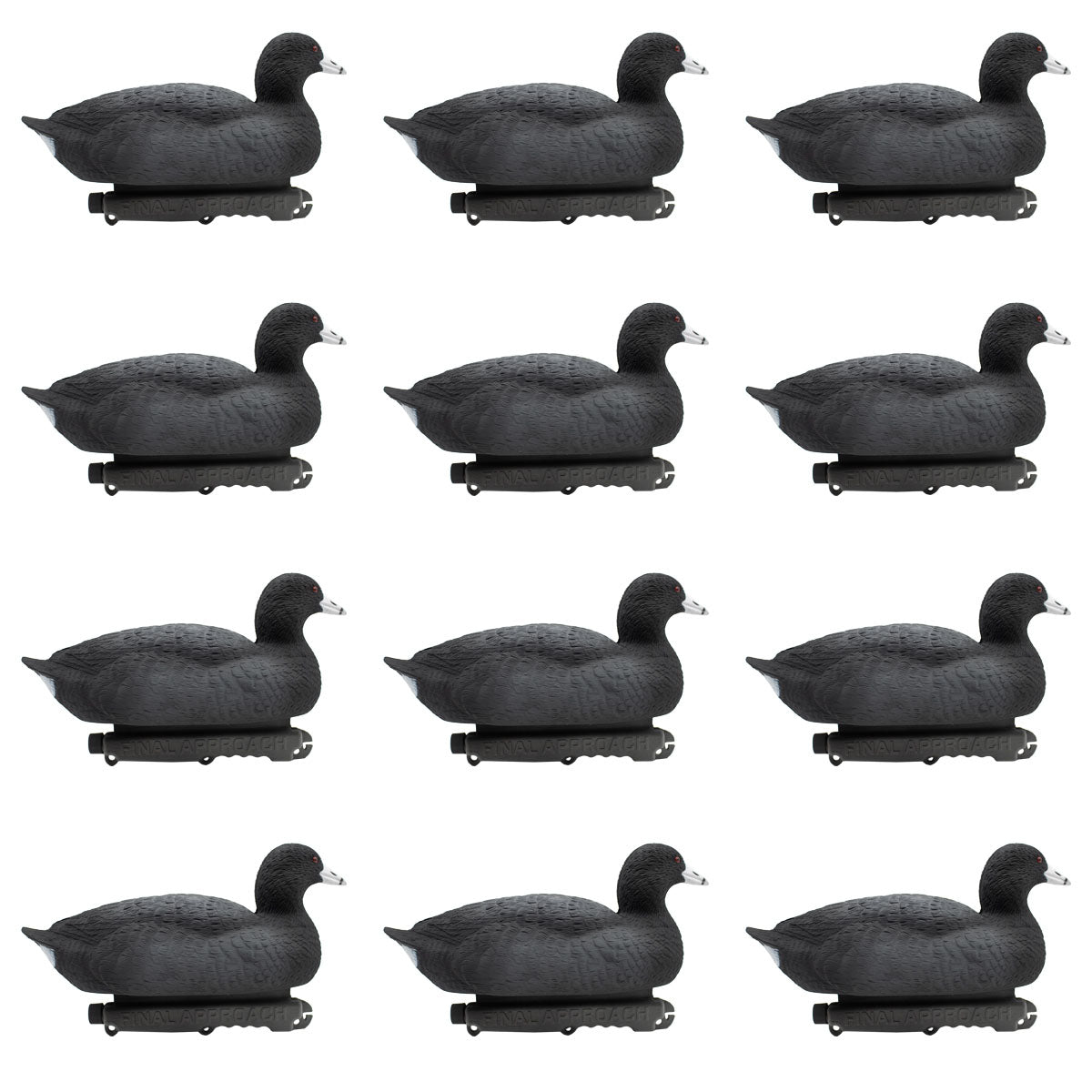 Last Pass Floating Coots Decoys, 12 Pack Final Approach Waterfowl