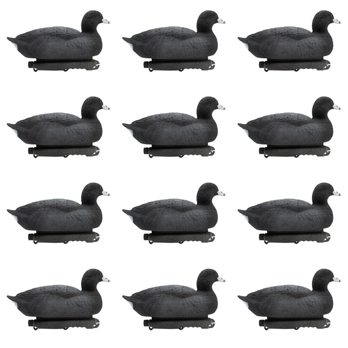Last Pass Floating Coots Decoys - 12 Pack
