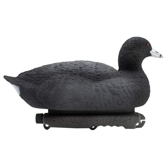 Last Pass Floating Coots Decoys - 12 Pack