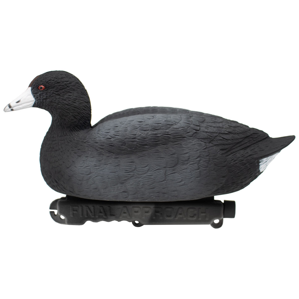 Last Pass Floating Coots Decoys, 12 Pack Final Approach Waterfowl