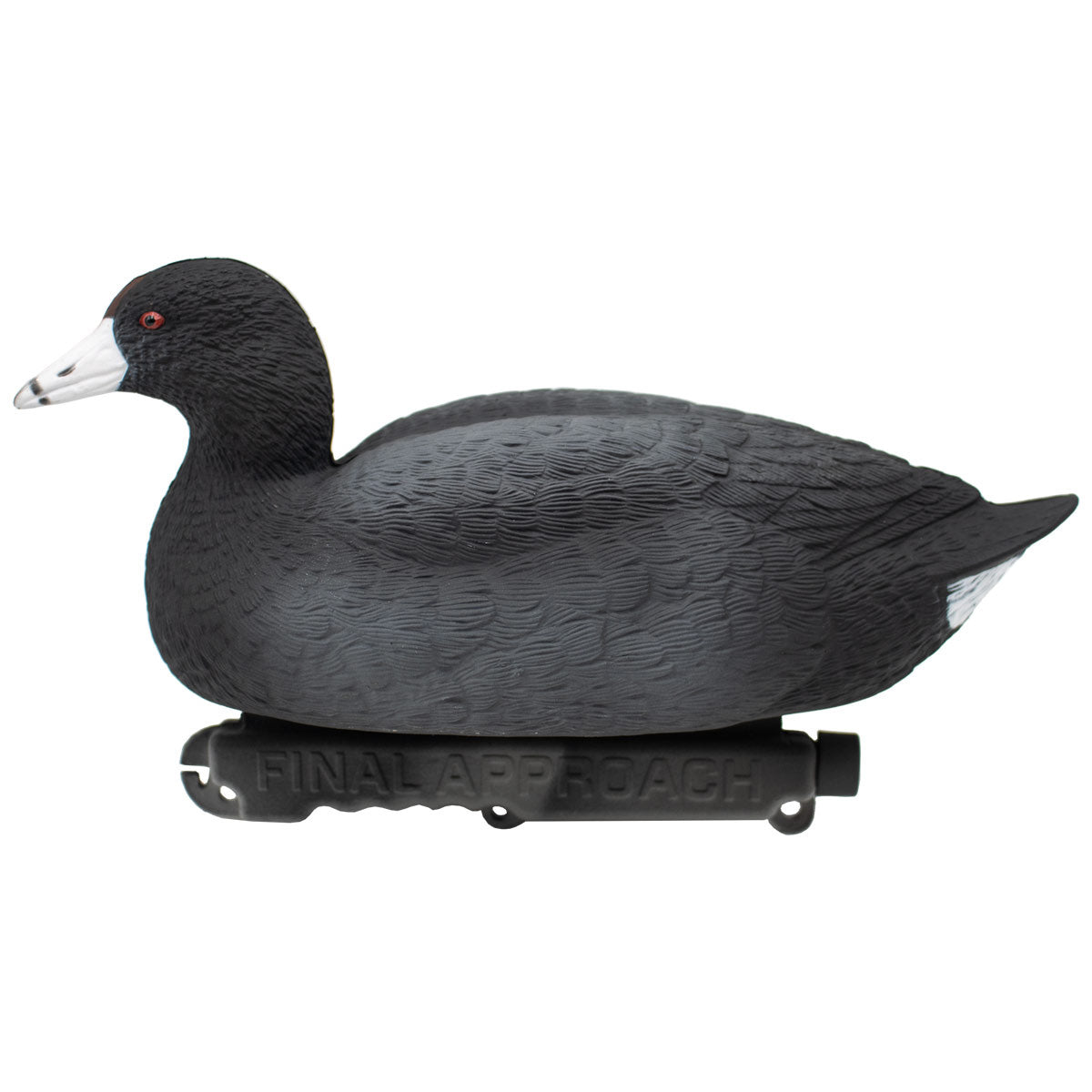 Last Pass Floating Coots Decoys, 12 Pack | Final Approach Waterfowl