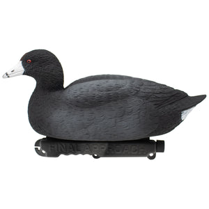 Last Pass Floating Coots Decoys, 12 Pack