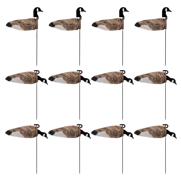Live Canada Goose Socks with 3D Heads