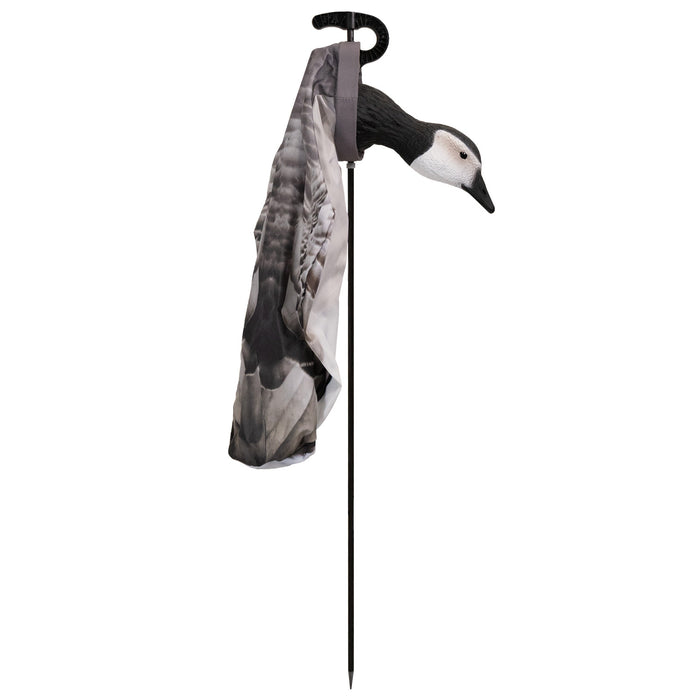 Live Barnacle Socks with 3D Heads