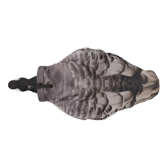 Live Barnacle Socks with 3D Heads