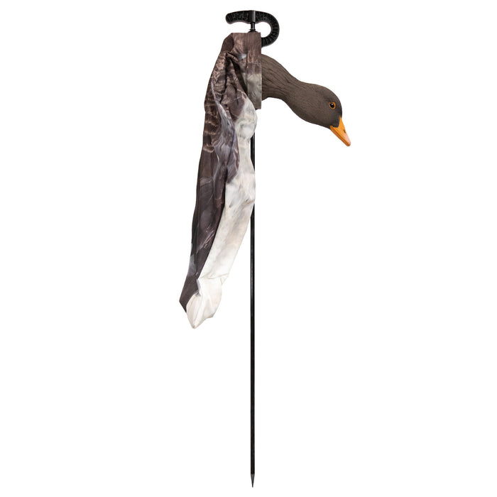 Live Greylag Socks with 3D Heads