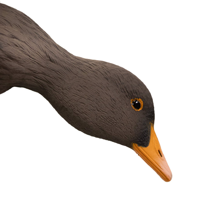 Live Greylag Socks with 3D Heads