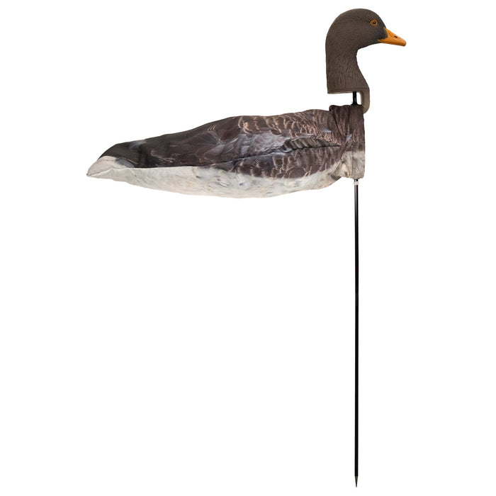 Live Greylag Socks with 3D Heads