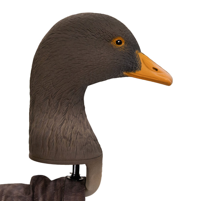 Live Greylag Socks with 3D Heads
