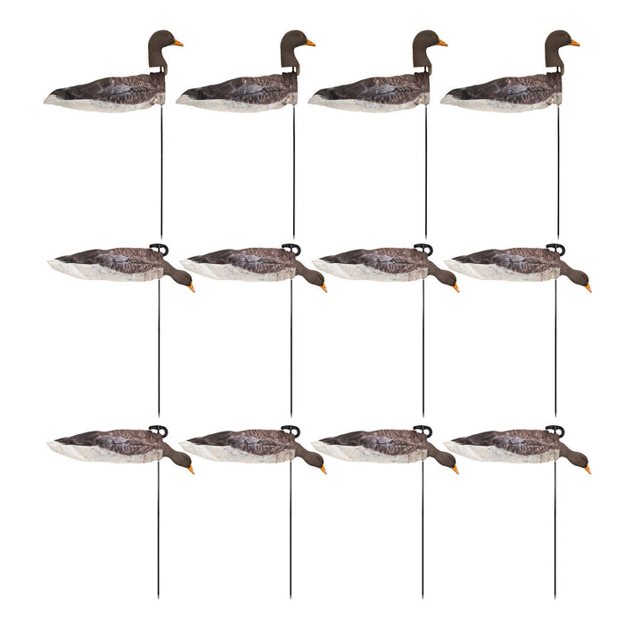 Live Greylag Socks with 3D Heads