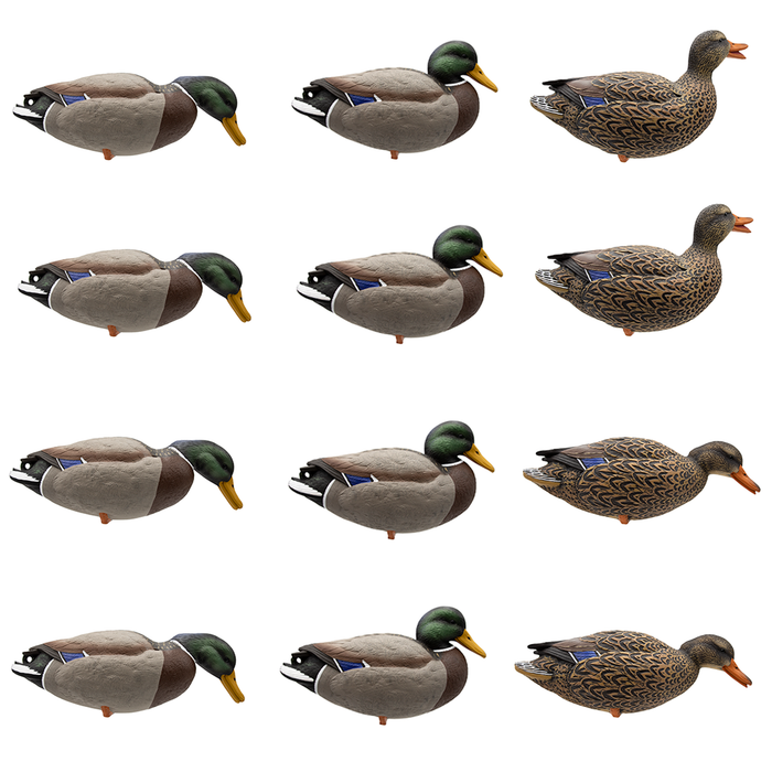 HD Full Body Mallards