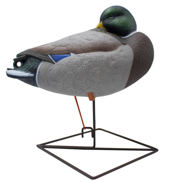 HD Full Body Mallard Rester Sleeper Decoys 6 Pack