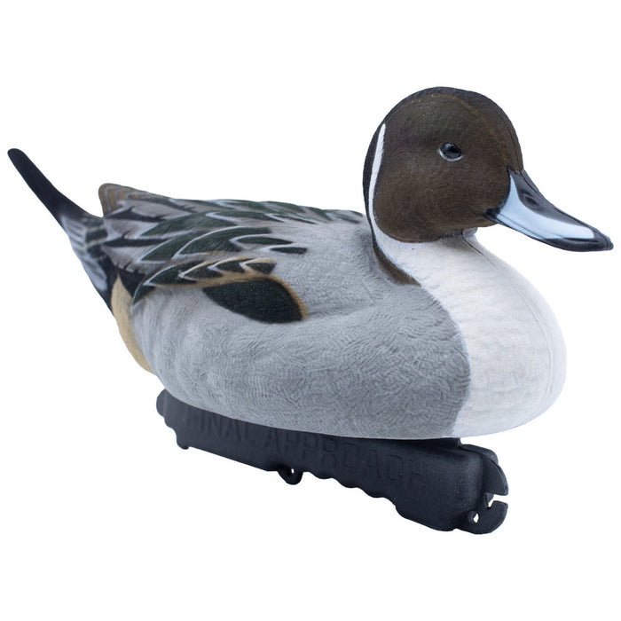 Live Fully Flocked Pintail, 6 Pack