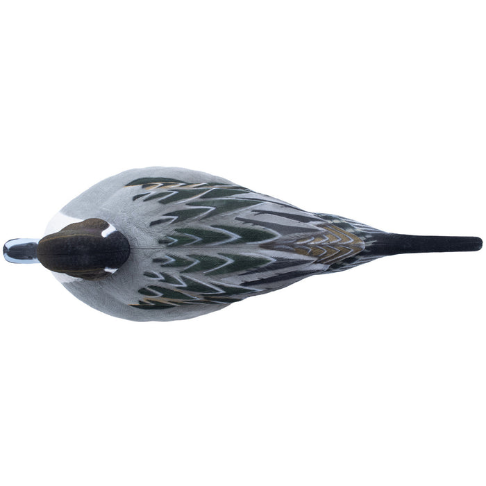 Live Fully Flocked Pintail, 6 Pack