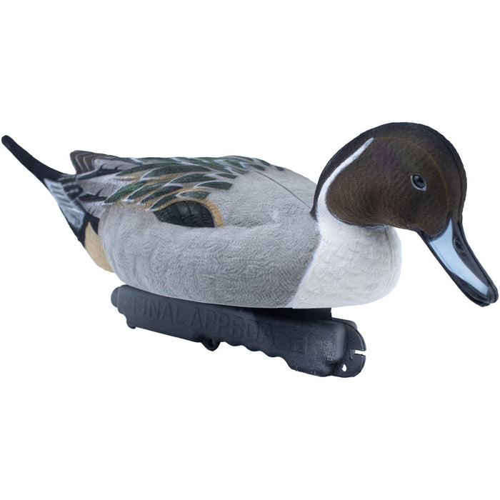 Live Fully Flocked Pintail, 6 Pack